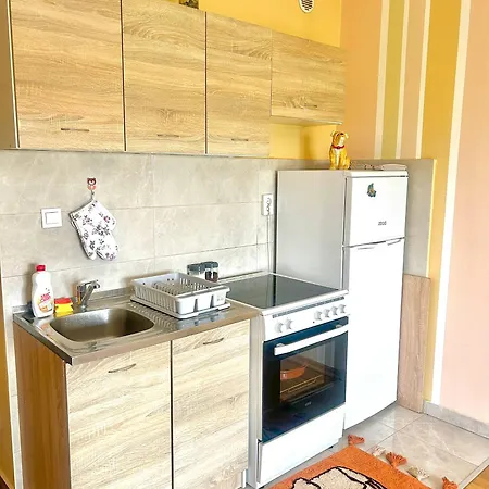 公寓 Charming 波德戈里察